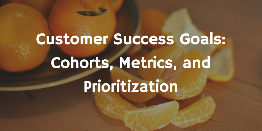 Customer Success Goals: Cohorts, Metrics, and Prioritization
