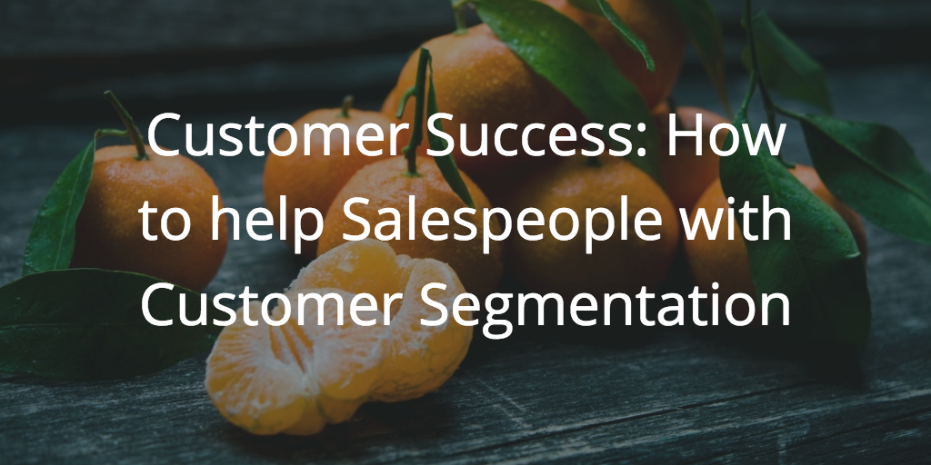 Customer Success: How to help Salespeople with Customer Segmentation